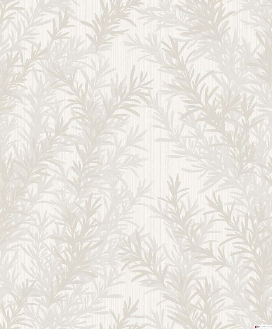 Best Wallpaper Dealer in Chennai Mass Wallpapers